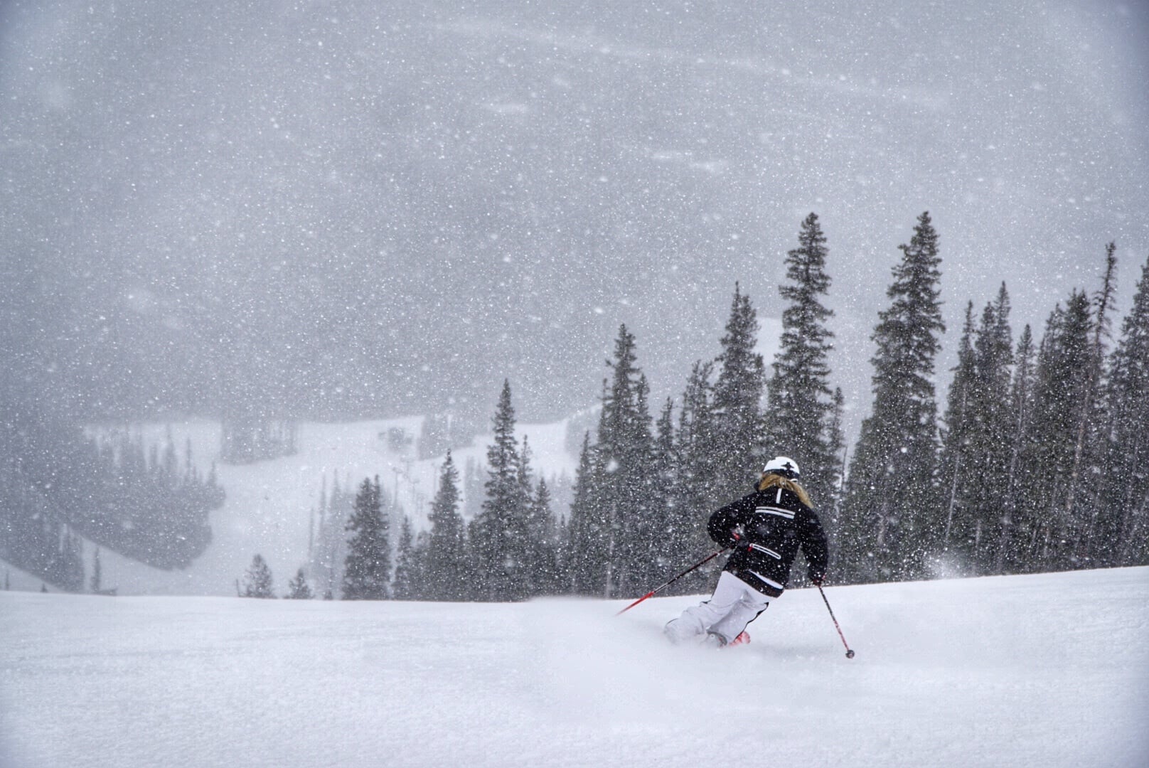 Photo 2018-03-28, 10 43 59 AM